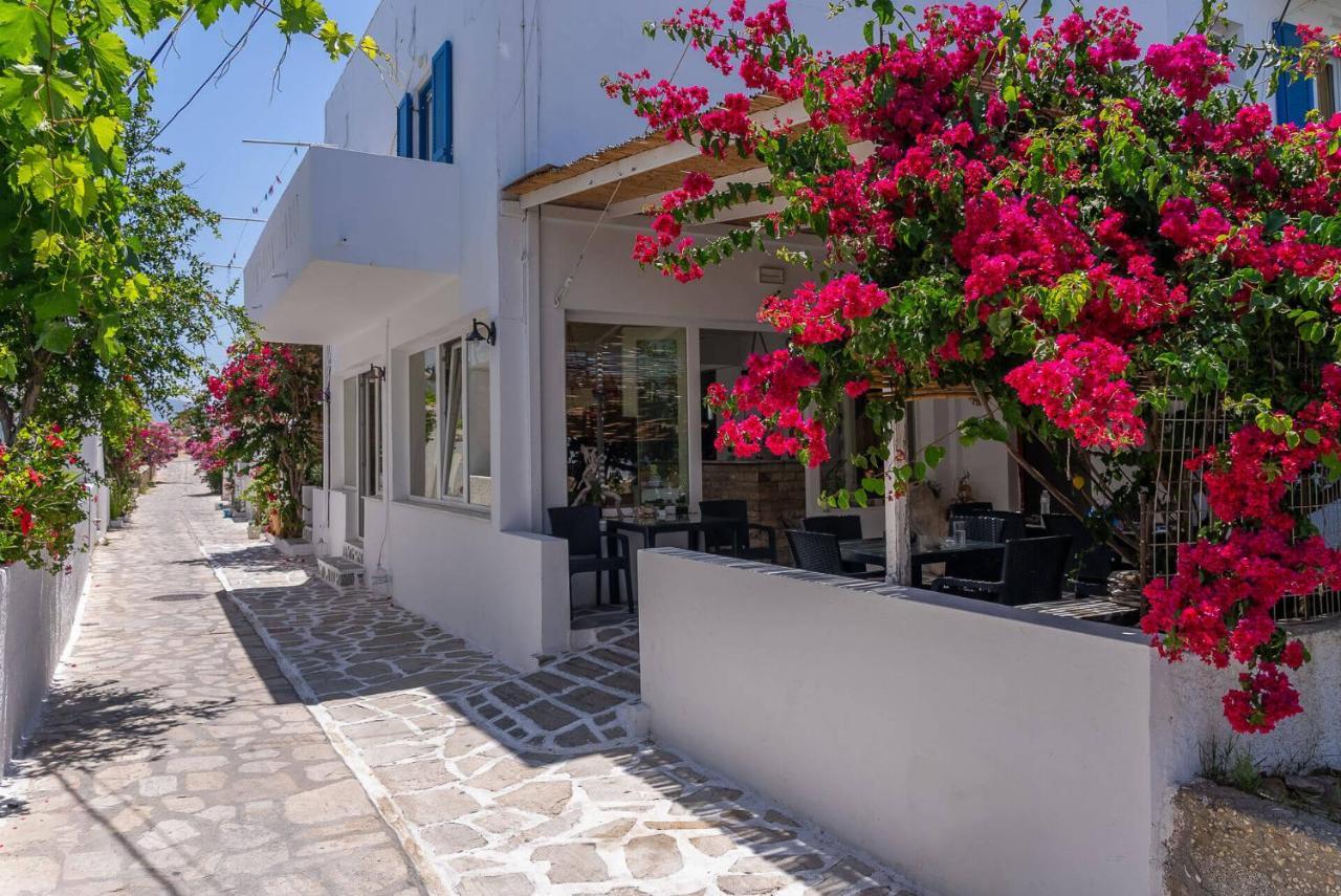 Antiparos View 아파트 외부 사진